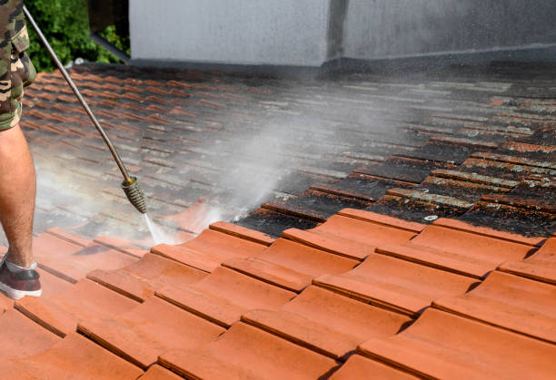Pressure Washing Contractors in Dania Beach, FL
