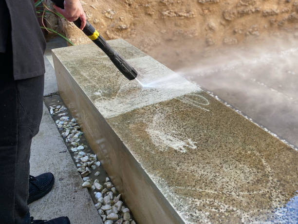 Best Power Washing Near Me  in Dania Beach, FL