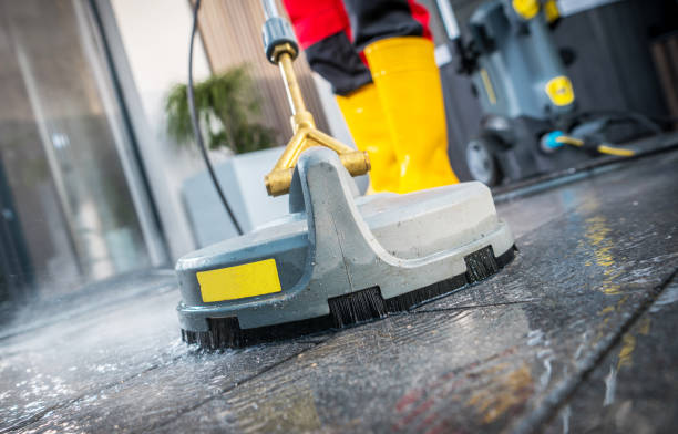 Best Roof Pressure Washing  in Dania Beach, FL