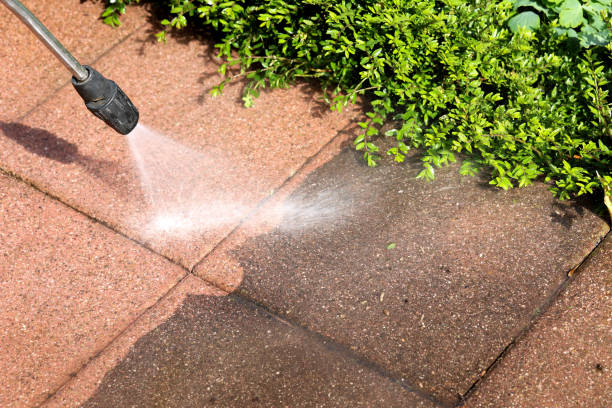 Best House Pressure Washing  in Dania Beach, FL
