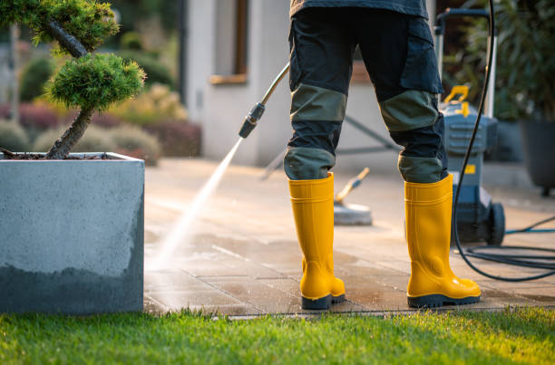 Best Roof Power Washing Services  in Dania Beach, FL